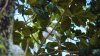 sey_T_025